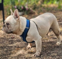 Hugo2