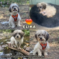 Elika Collage