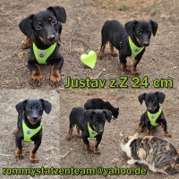 Justav Collage Justav