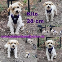 Klio Collage