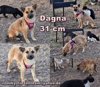 Dagna