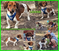 Lönne Collage Lönne