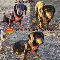 Ännchen Collage