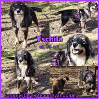 Tschila Collage Tschila